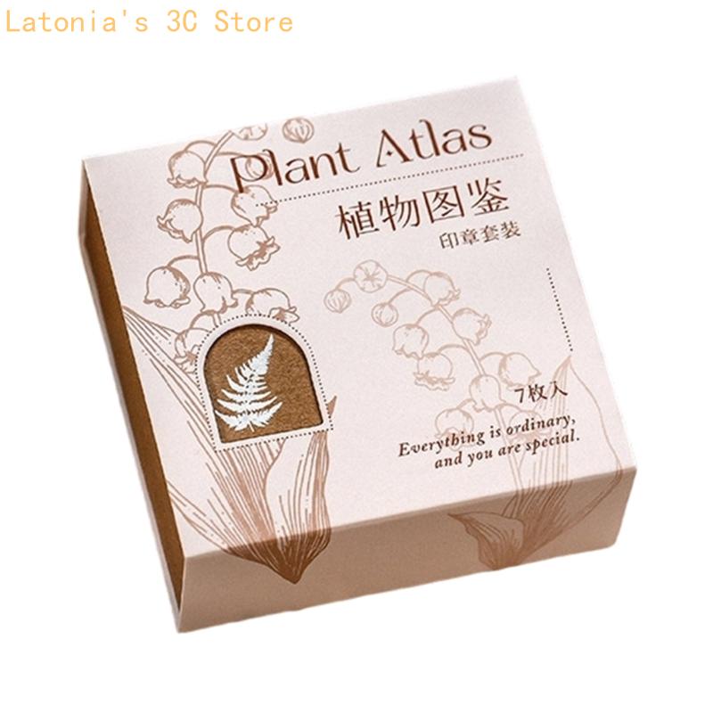 أداة حرفية ورقية للضغط اليدوي  - مراجعة Gift Box Wrap Set وسعره