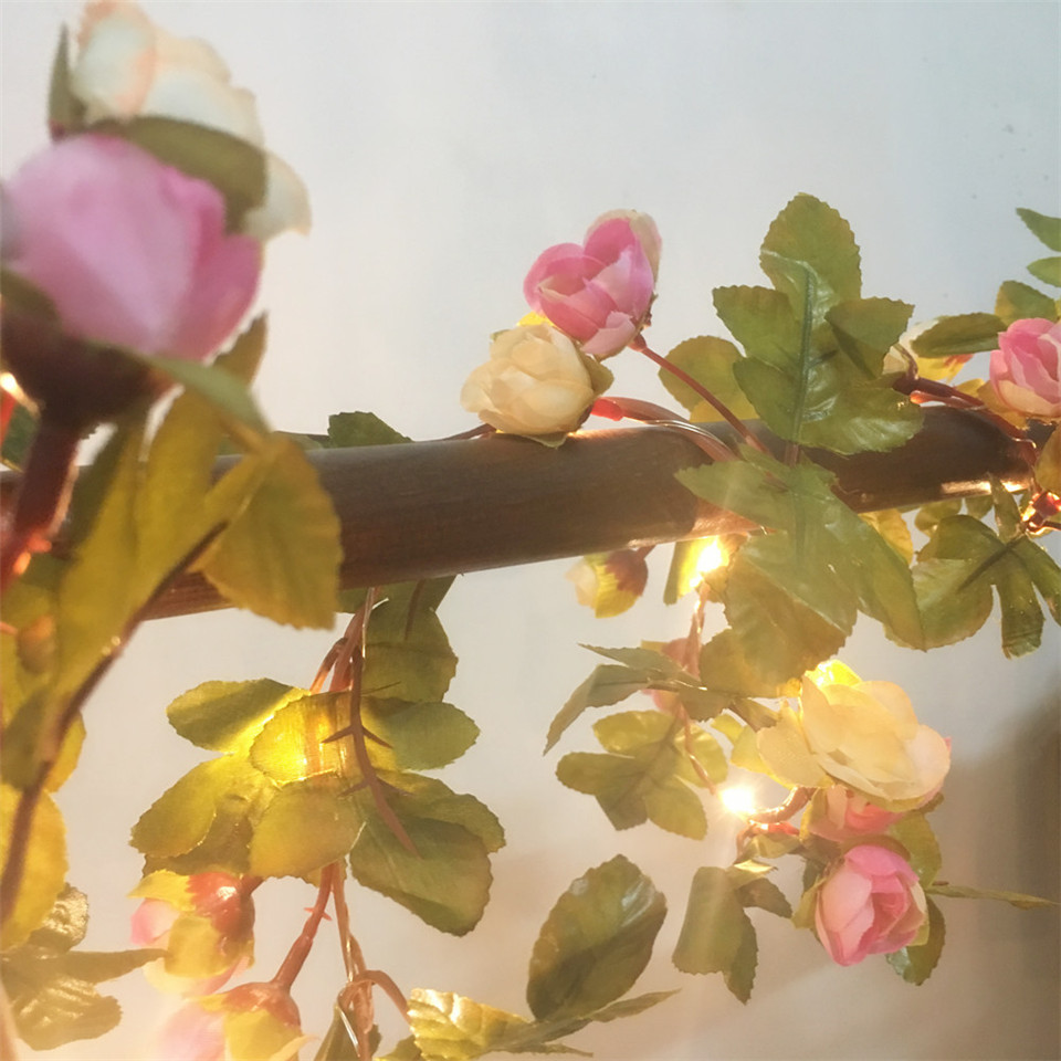 DACHAN اليدوية 2.2 متر 25 المص - مراجعة Led Fairy String Lights وسعره